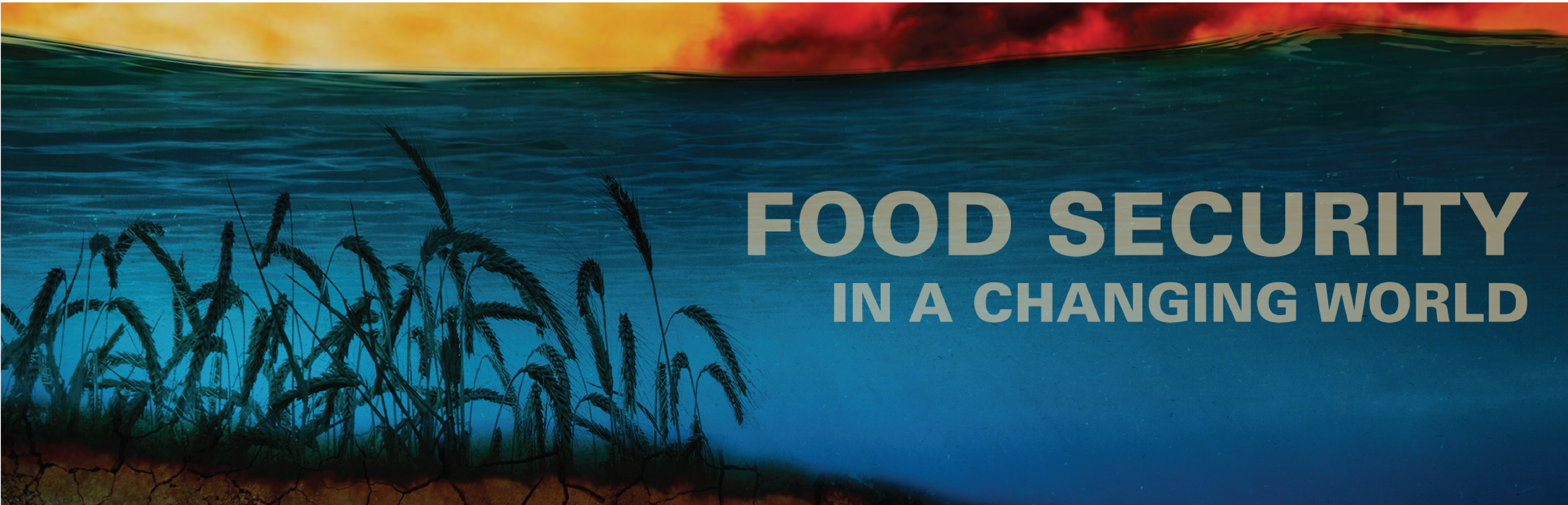 Artwork for Food Security in a Changing World